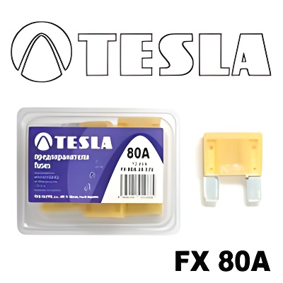 Tesla FX 80A.10