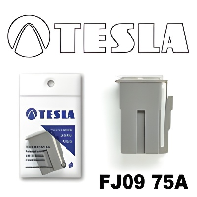Tesla FJ0975A