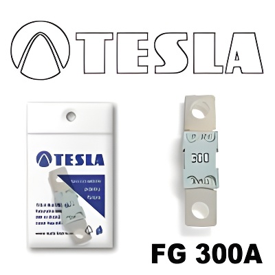 Tesla FG 300A