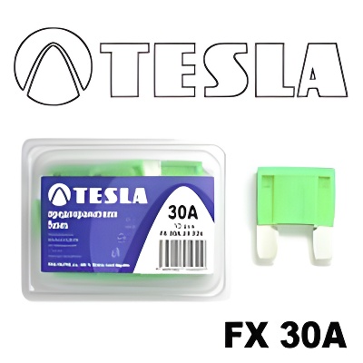 Tesla FX 30A.10