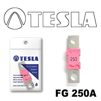 Tesla FG 250A