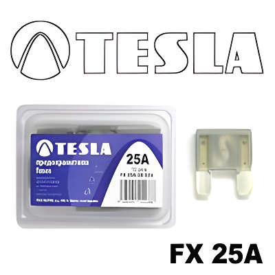 Tesla FX 25A.10