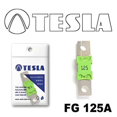 Tesla FG 125A