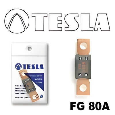 Tesla FG 80A