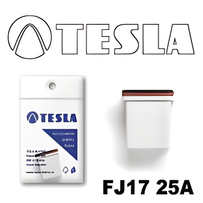 Tesla FJ17 25A
