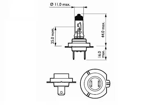 SCT 202907