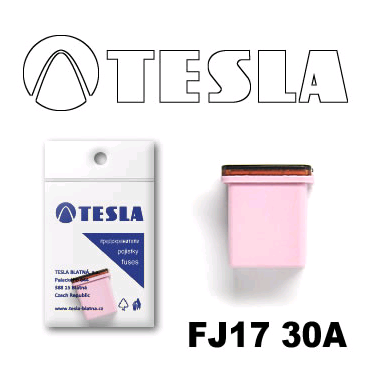 Tesla FJ17 30A