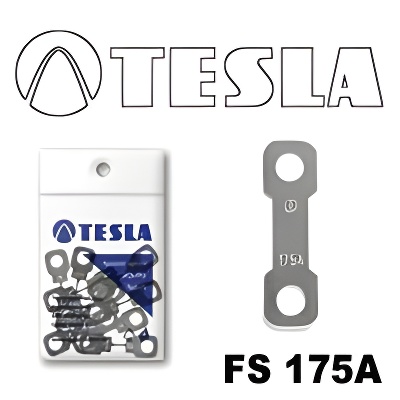Tesla FS 175A.10