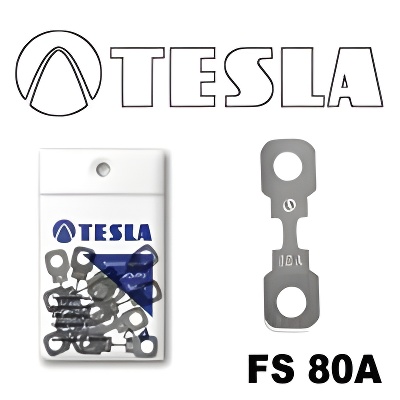 Tesla FS 80A.10