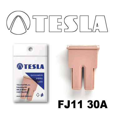 Tesla FJ11 30A
