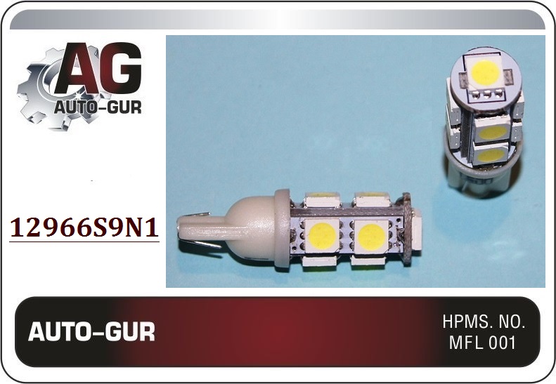 Auto-gur 12966S9N1