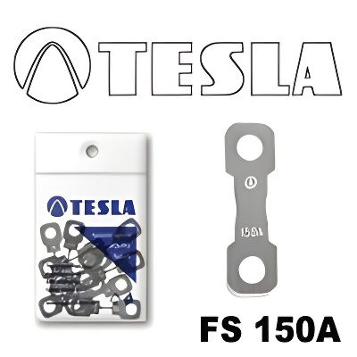 Tesla FS 150A.10